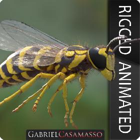 Vespula squamosa Rigged model